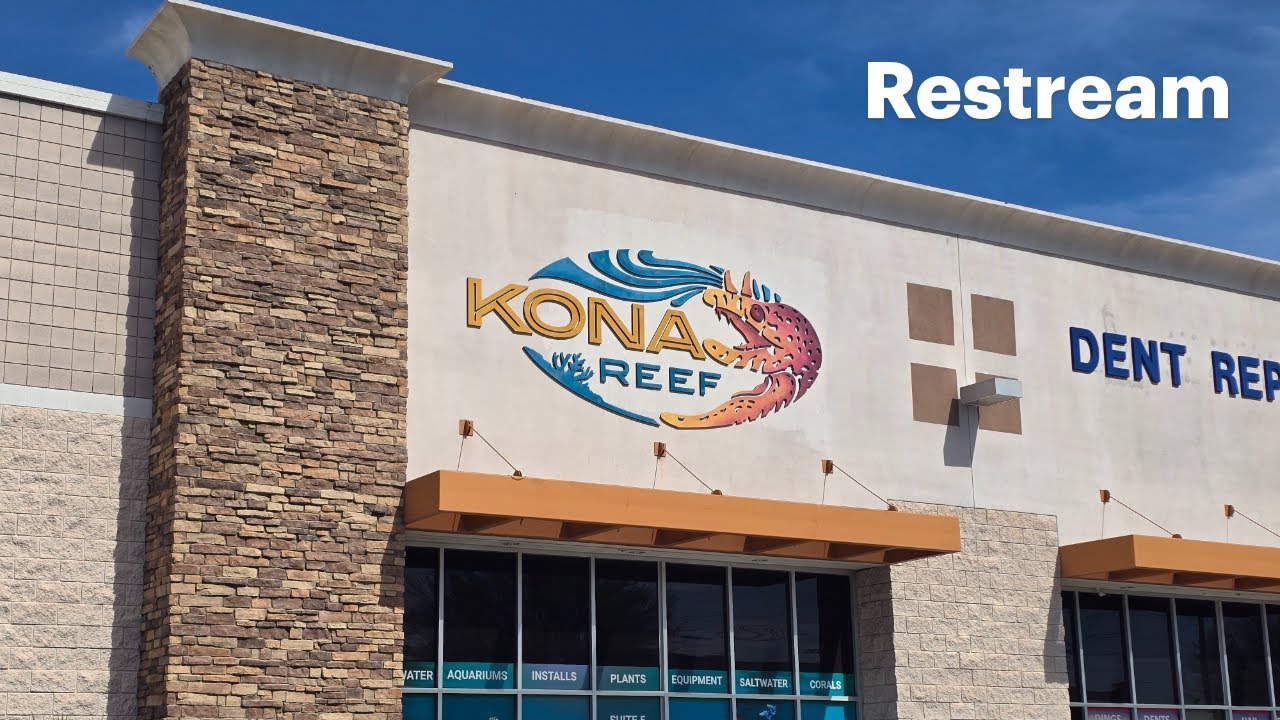 Kona Reef in Chandler