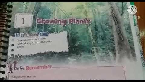 Dalauda Public School class 5th  science chapter 1st by Bindu Tiwari