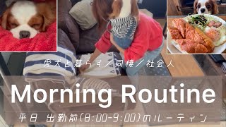 【キャバリア】愛犬と暮らす出勤前の幸せな平日朝(8:00〜9:00) ／ 同棲 ／ 社会人  ／ ルーティン動画