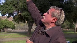 「私はＵＦＯを呼べる」　今日も空にテレパシー送る男性　米国