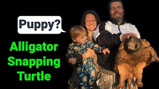 We Caught An Alligator Snapping Turtle by Cold Blood Creations 377 views 4 months ago 2 minutes, 30 seconds