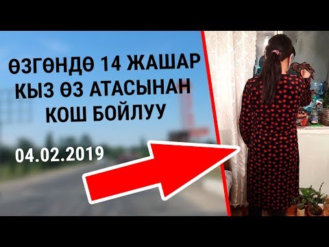 Video: Кыз хомяктын кош бойлуу экендигин кантип билсе болот