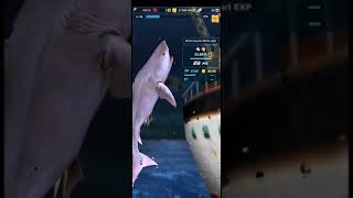 ace fishing 🎣# white fang the white shark # wild fish screenshot 4