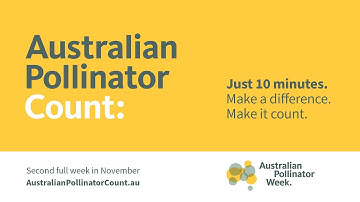 Australian Pollinator Count - Where Do I start?