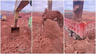 How To Excavators Load Soil Onto Trucks Professionally P192 #satifying #excavator #truck #soil