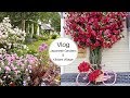 Vlog | The Japanese gardens, Irish national stud and Kildare Village