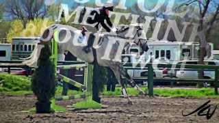 King For A Day Equestrain 200 Subs