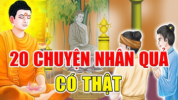20 Chuyện Nhân Quả Phật Giáo Có Thật Hay Nhất 2023 Khiến Hàng Triệu Người Rùng Mình Ai Cũng Nên Nghe