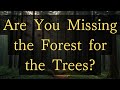 Are You Missing the Forest for the Trees? #buddhism #motivation #mindfulness #meditation