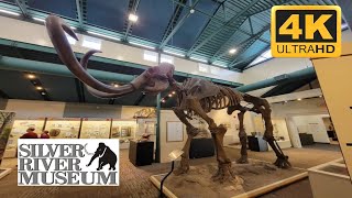 A Quick Virtual Tour  of the Silver River Museum located in Ocala!  Nice Natural History Attraction