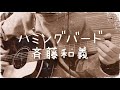 ハミングバード -斉藤和義 cover