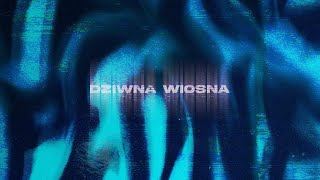 Dziwna Wiosna -  Płonę, płonę (Official Lyric Video) chords