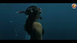 Illuminate Your Waterfront with Incredible Underwater LED Lights
