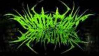 Annotations Of An Autopsy - Human Dust