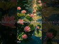 Our National flower's beauty 💖