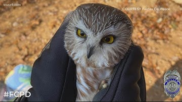 People wait in hours-long lines for at-home rapid COVID testing kids | Open Mic