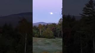 the moon stayed up late.