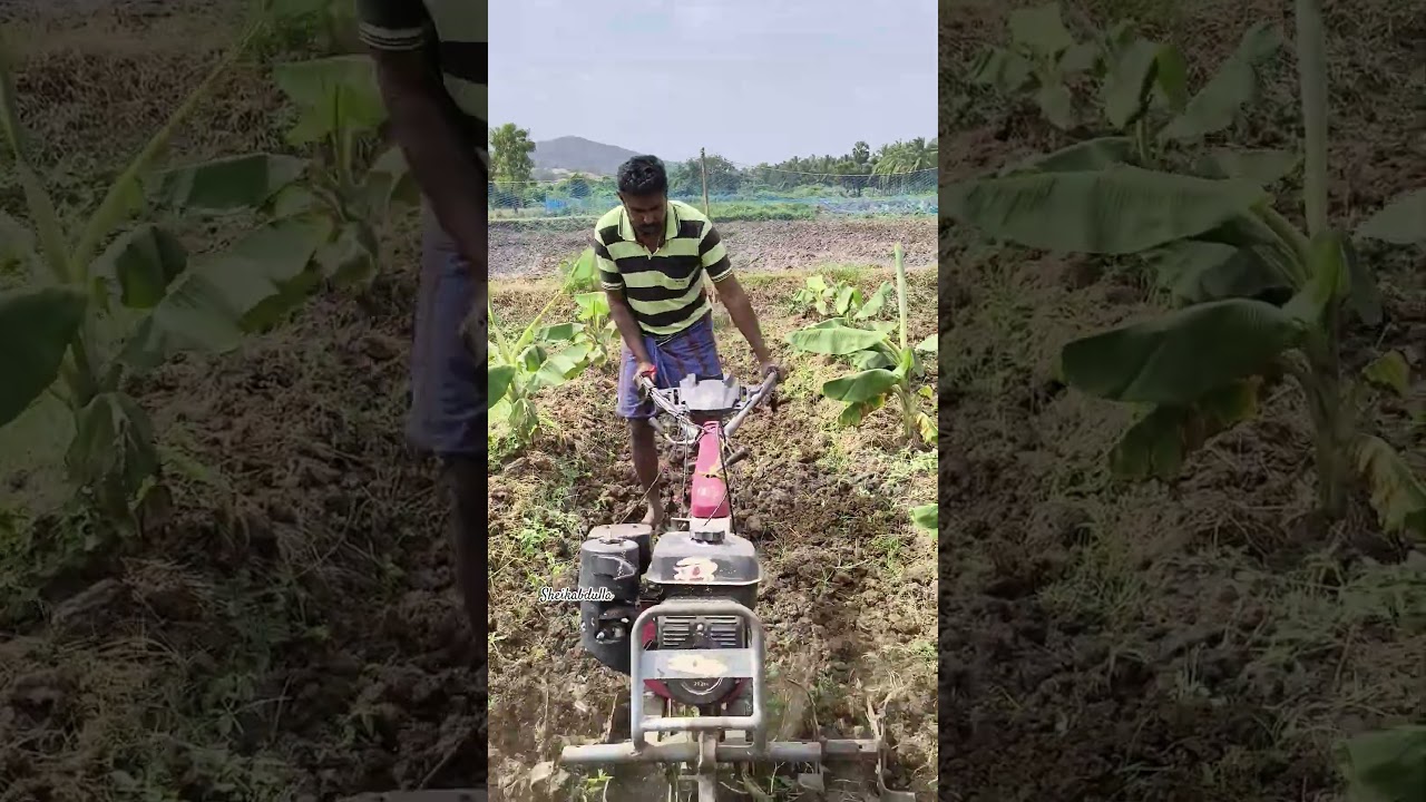 கல் எறியும் கைகள் என் பயணத்தை நிறுத்த முடியாது