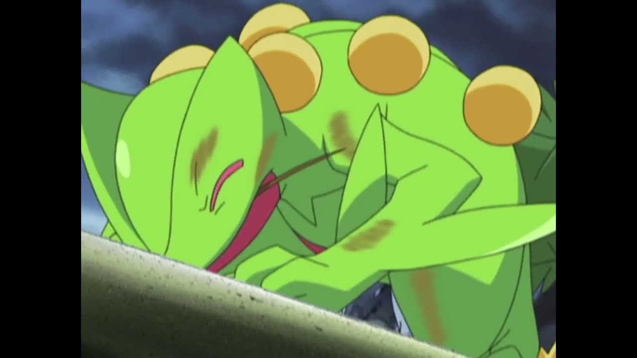 Pokemon: Secptile vs Claydol