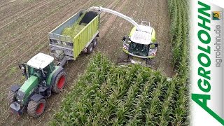 Maisernte 2k14 mit AGROLOHN | Claas Jaguar, Krone Big X, Fendt, John Deere