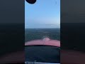 Grumman AA5B Tiger