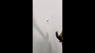 Repara un pequeño agujero con 3M™High Strength Small Hole Repair All-in-One Applicator Tool