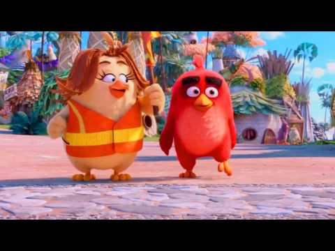 Copy of ბრაზიანი ჩიტები  (funny moment)