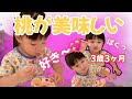 【3歳3ヶ月】桃が大好きなしずくちゃん