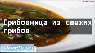 Рецепт Грибовница из свежихгрибов Рецепт Грибовница из свежихгрибов