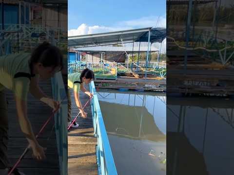 Trốn ba đi câu và cái kết... #cauca #fishing #câucá #caucagiaitri