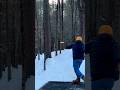H1 LUNA PARKED FAIRWAY #new #discgolf #shortsfeed #discsports #par #shorts #flight #left #microphone