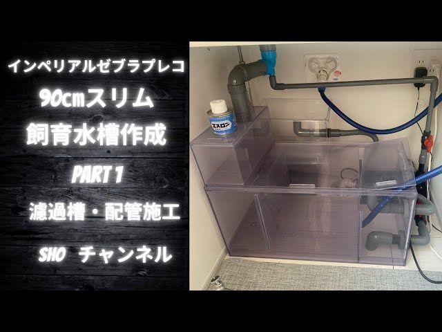 インペリアルゼブラプレコ 飼育水槽作成 Part1 - YouTube