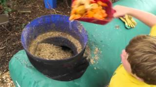 Food Waste Recycling in Schools