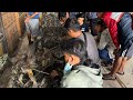 SEPESIAL MENJELANG IDUL ADHA !!! BONGKAR BURUNG JENGOT LOKAL - SRDC - PLECI - TRUCUK - CIBLEK DLL
