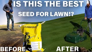 Best Type of Grass for Lawn, Barenbrug RPR rye vs Kentucky Bluegrass review screenshot 5