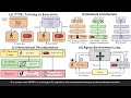 Multi-Agent RL for Safe Autonomous Driving Under Pedestrian Behavioral Uncertainty | ICRA 2026
