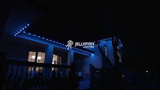 JellyFish Lighting Now Moves to Music