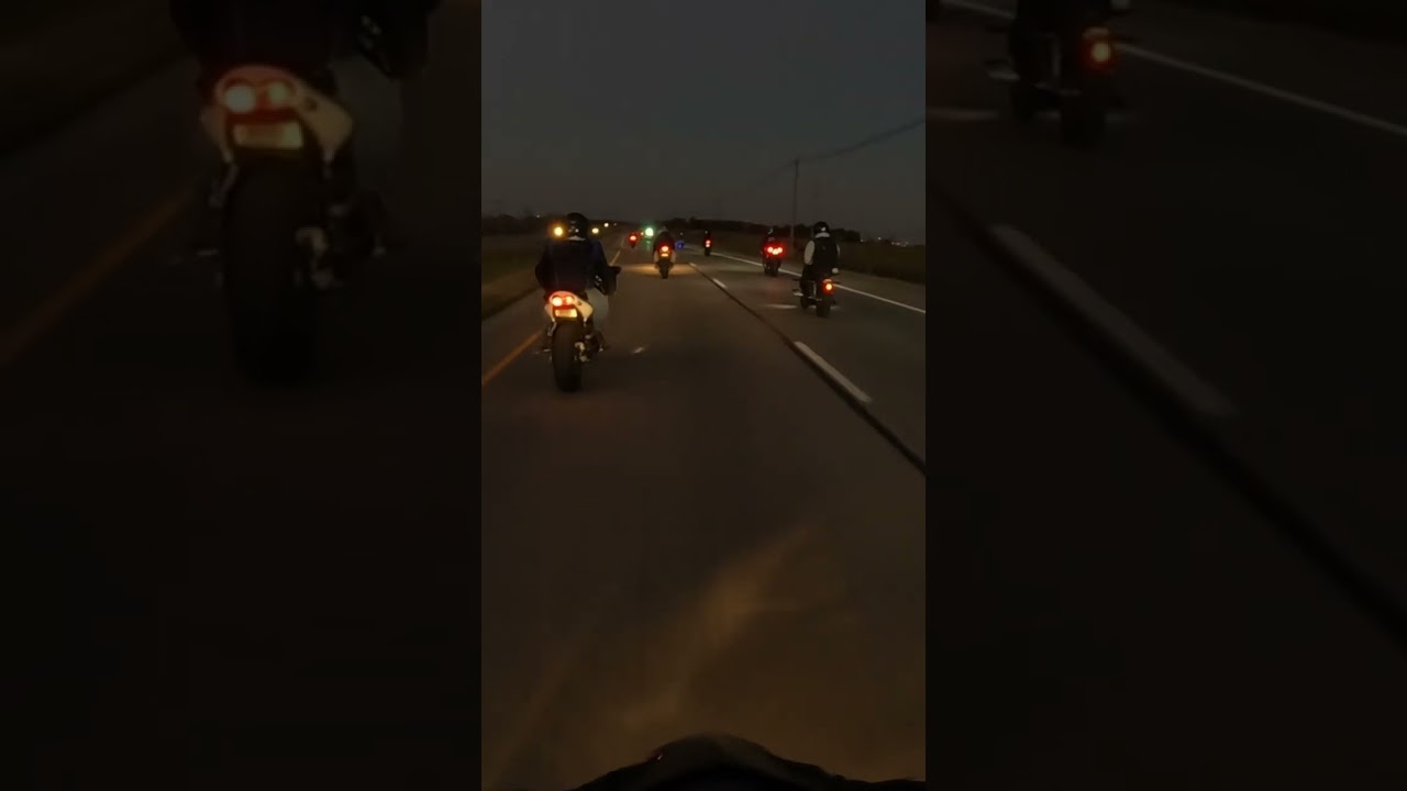 K-9 unit took rollers for us! 