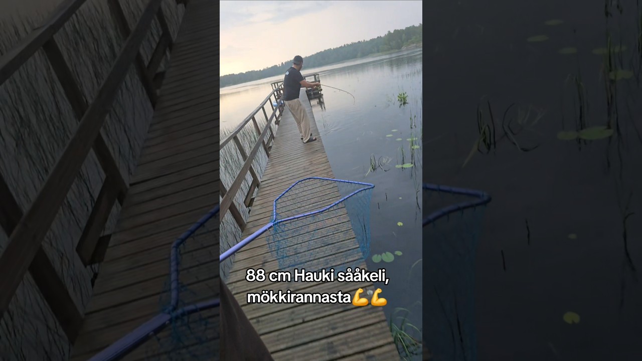88 cm hauki mökkirannasta🎣 