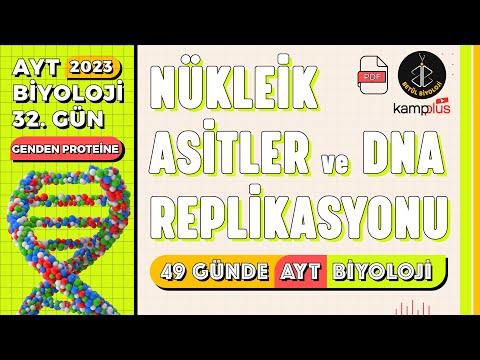 32) Nükleik Asitler ve DNA Replikasyonu | Genden Proteine 12. Sınıf | AYT Biyoloji Kampı 32. Gün