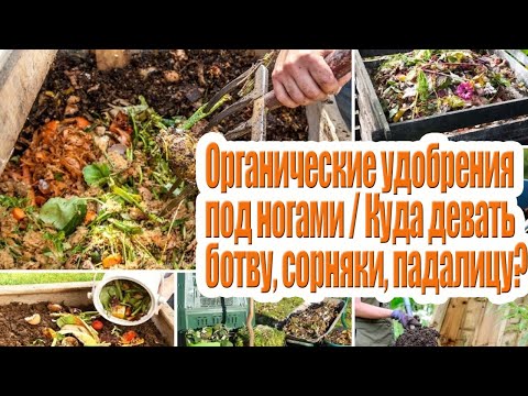 Куда девать ботву сорняки и падалицу / Органические удобрения под ногами