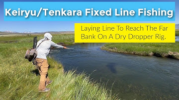 Laying Line To Reach The Far Back On A Dry Dropper Rig With Your Keiryu / Tenkara Rod .