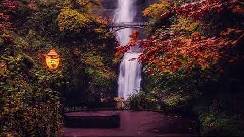 سورة النجم فجر ١٤٤١/٣/٢٨هـ