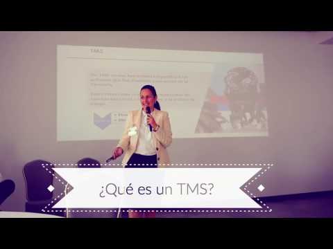 Software de Tesorería INTEGRITY (TMS) -Caso de éxito METALSA