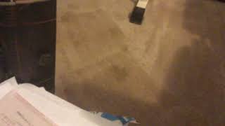 Oh No Tomorrow Is Mrs. Greyfeather Day