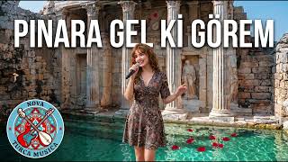 Pınara Gel Ki Görem (Modern Remiks) Nova Turca A