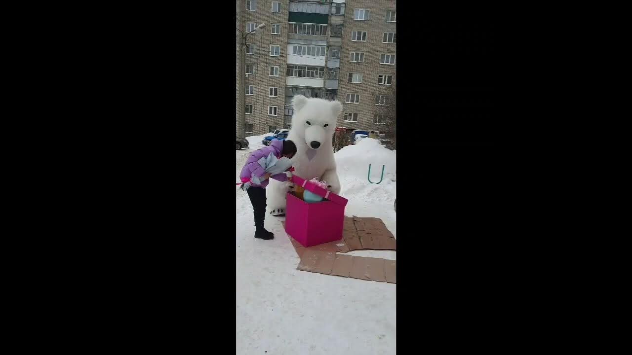 Белый медведь саранск фото
