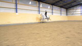 Aragorn Ge, E Judio Vii