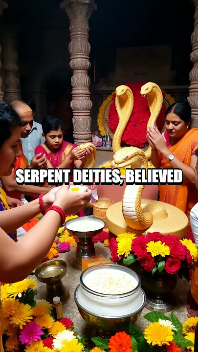 The Unusual Snake Festival in Kerala, India