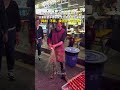 大学生模仿街头拔丝糖葫芦技艺，只要我暂停得够快,主播就不会出洋相。网友：不错，模仿得一干二净。